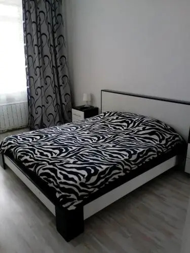 Иркутск: Apartment Irkutsk