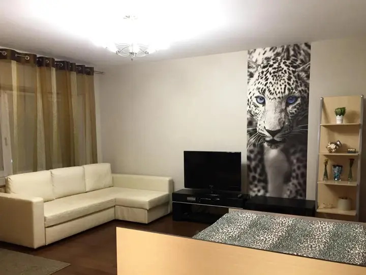 Уфа: Apartments ROMAYA near Gorsovet