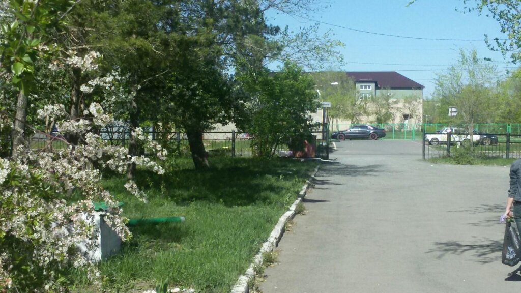 Гай: Ромашка