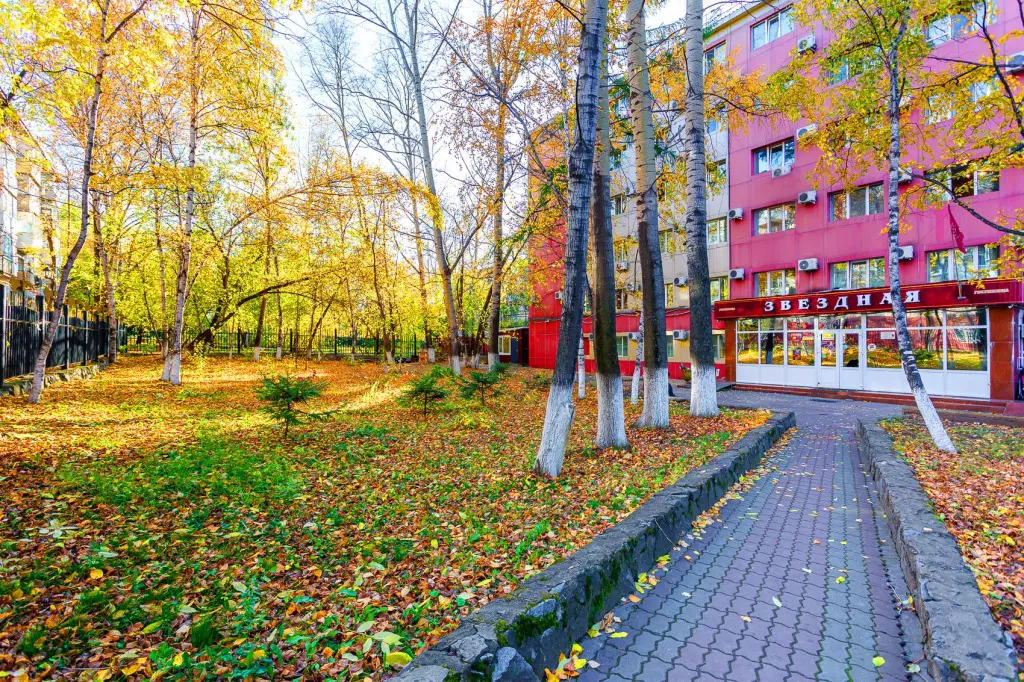 Хабаровск: Отель Звёздная