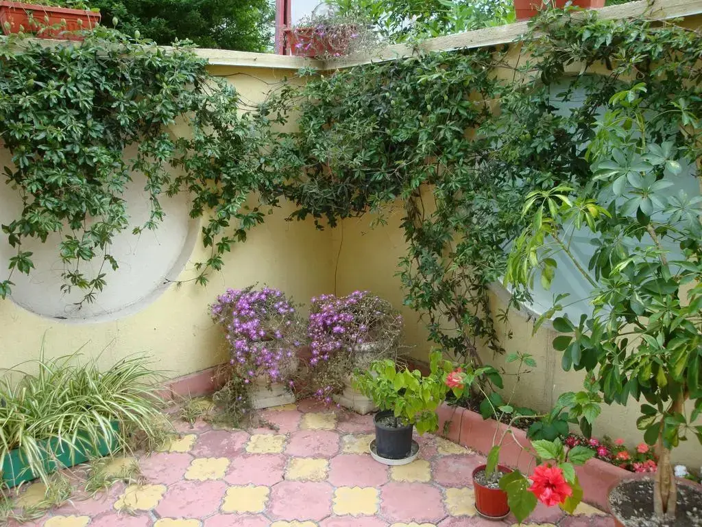 Царево: Stela Guest House