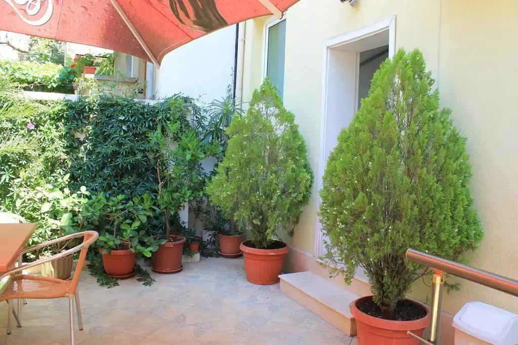 Царево: Stela Guest House