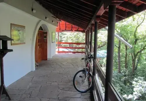 Маджарово: Vulture Centre Eastern Rhodopes