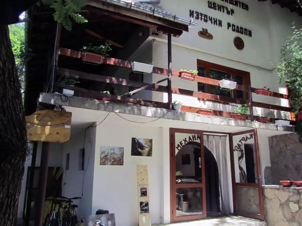 Маджарово: Vulture Centre Eastern Rhodopes