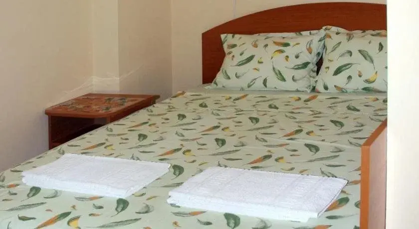 Созополь: Hotel Holiday Rodopi