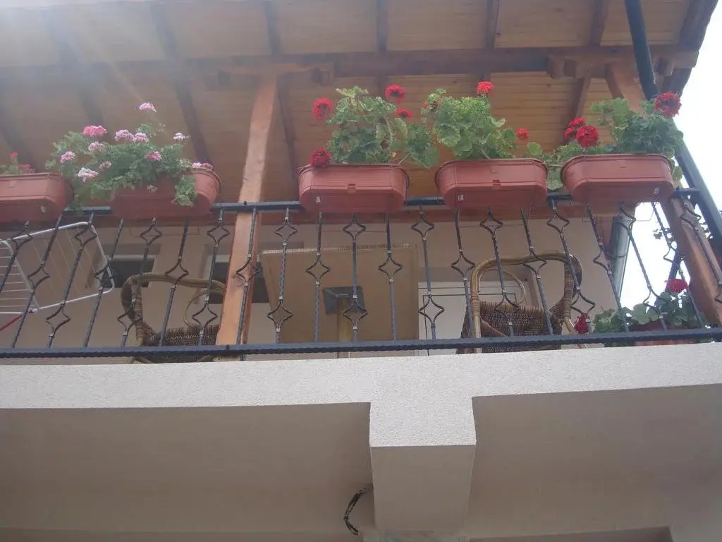 Свиленград: Radi Inn