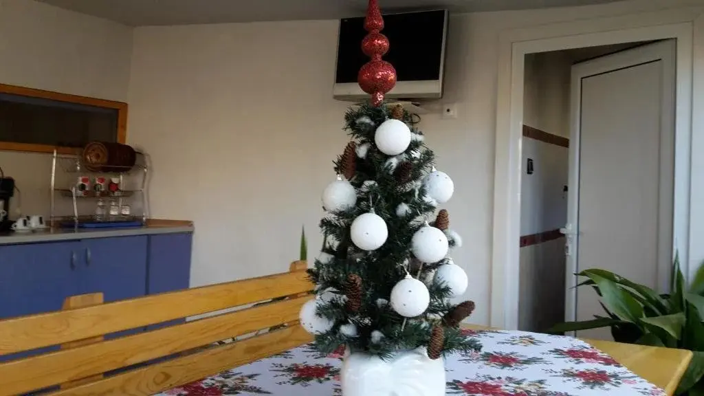 Сапарева баня: Kyurkchievi Guest House