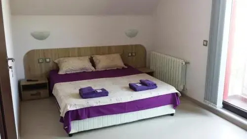 Сапарева баня: Guest House Vessyta