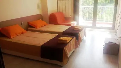 Сапарева баня: Guest House Vessyta