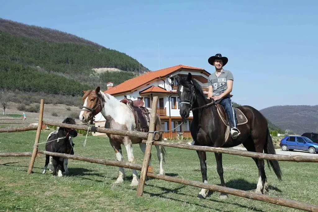 Севлиево: Raya Guest House