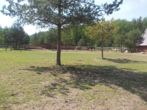 Панфилово: Агрохутор Казачий Курень
