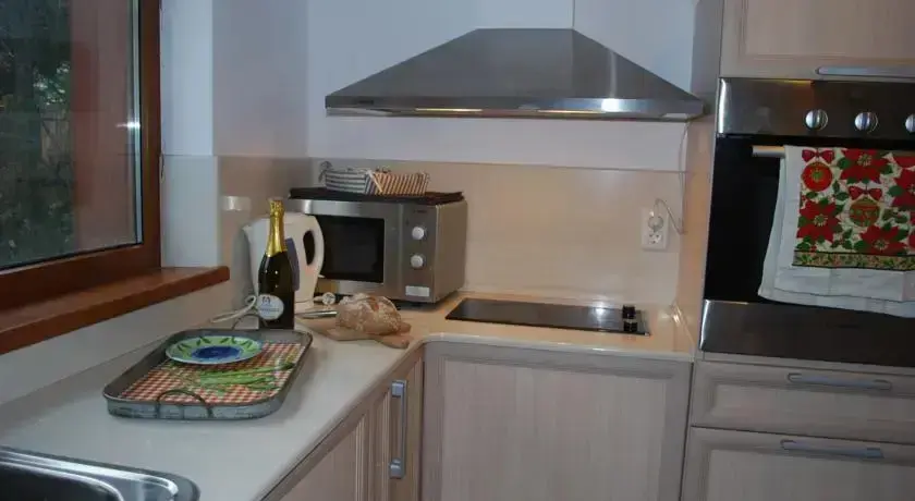 Боровец: Mountain View Guest House