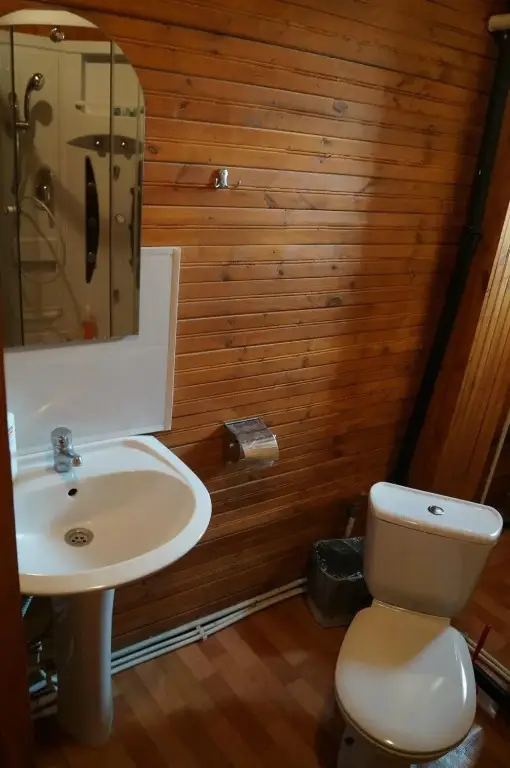 Суздаль: Alyonushka Guest House