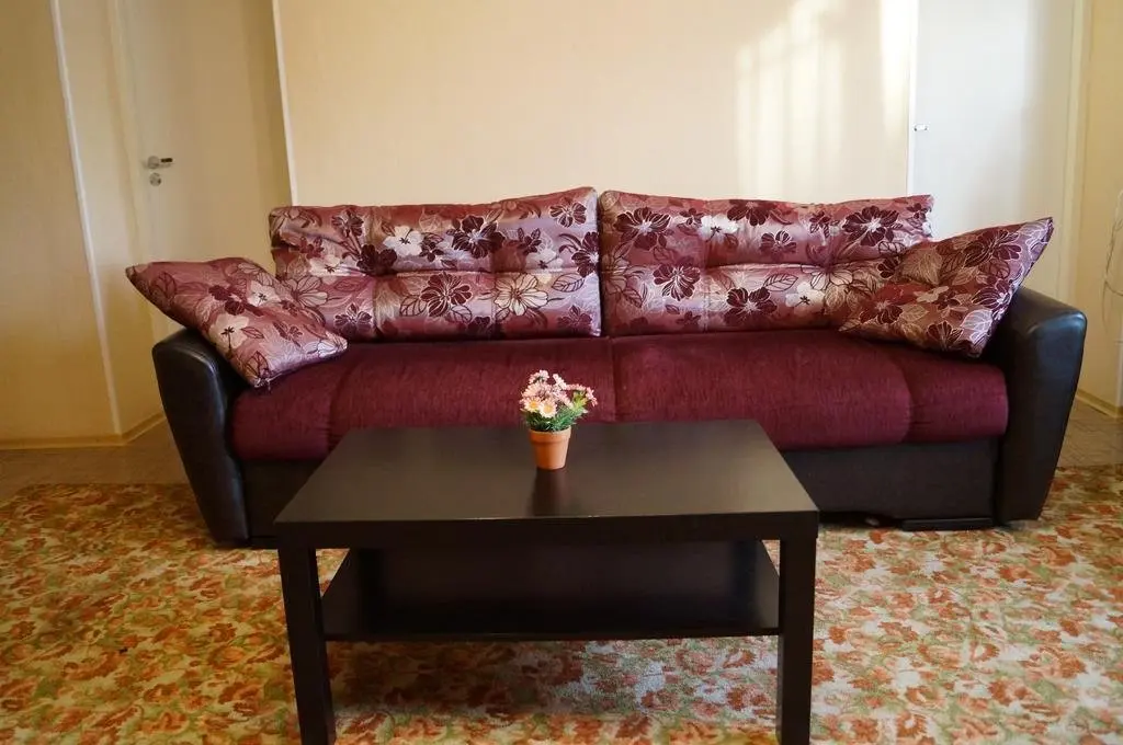 Суздаль: Alyonushka Guest House