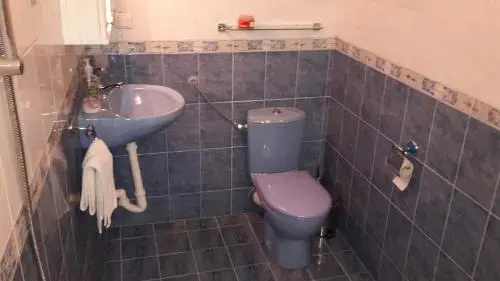 Банско: Guest House Zlatinchevi