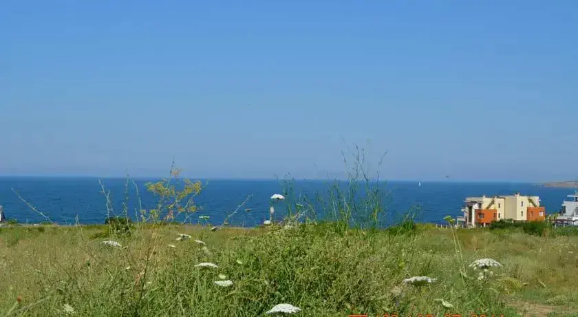 Черноморец: Sunny Island Chernomorets