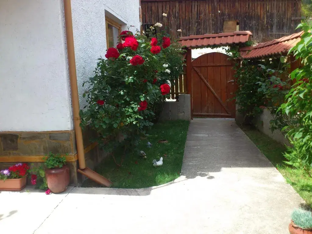 Чепеларе: Guest House Stoletnika