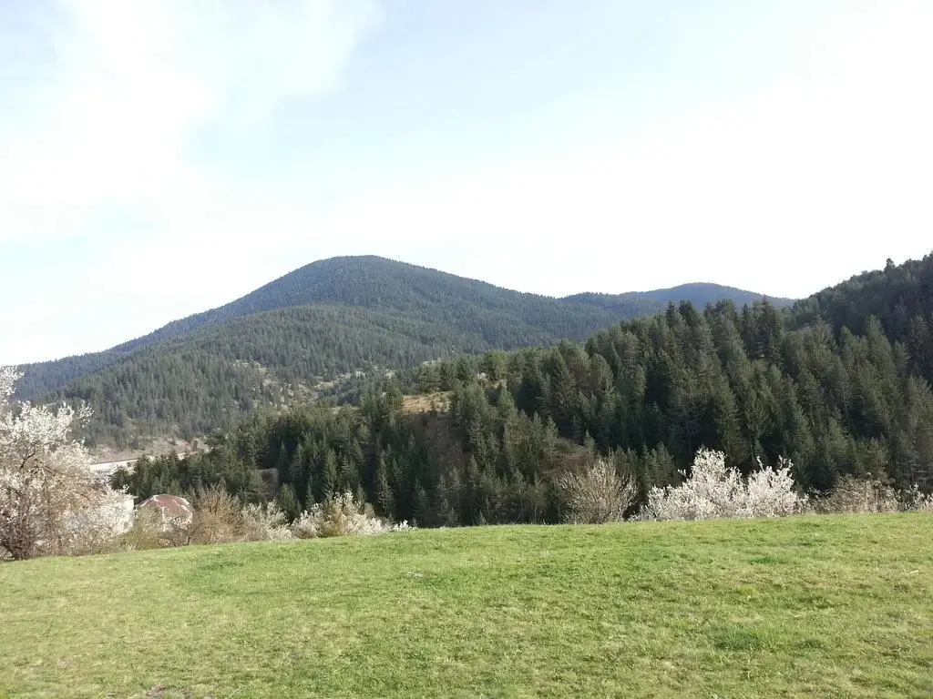 Чепеларе: Guest House Stoletnika
