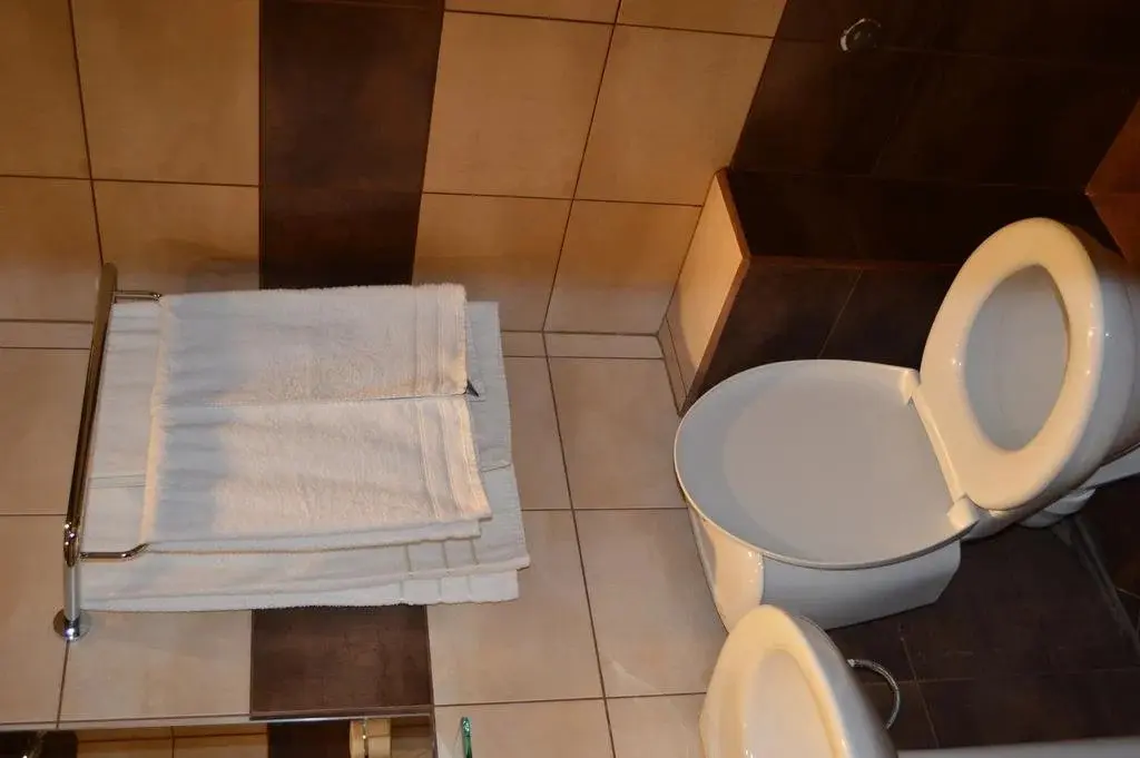 Плевен: Hotel Grivitsa