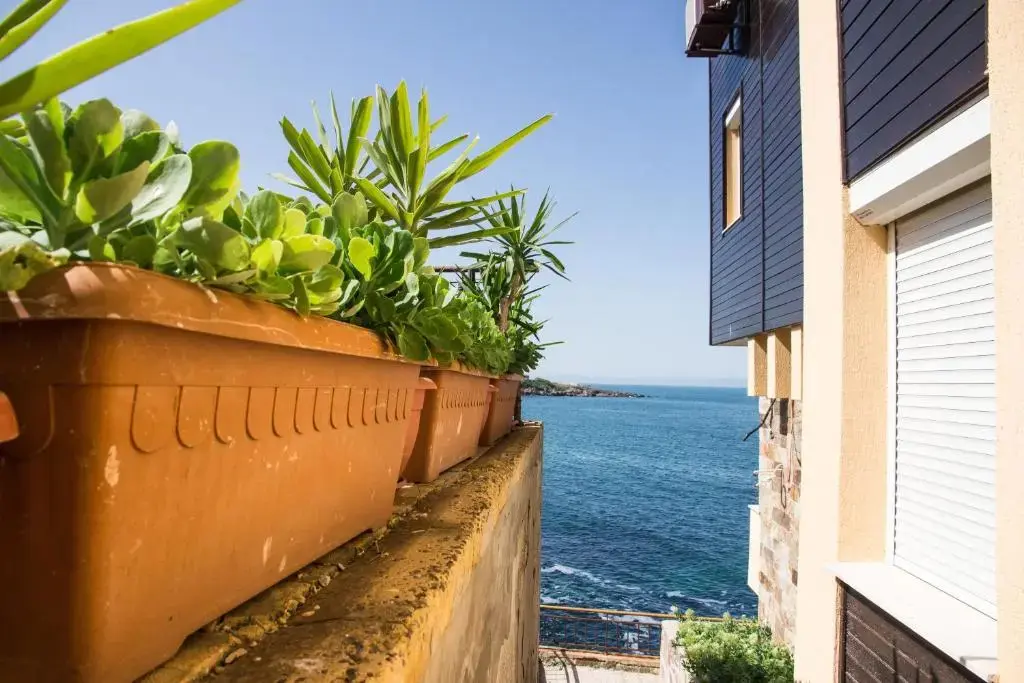 Созополь: Sozopol Apartment with Sea View