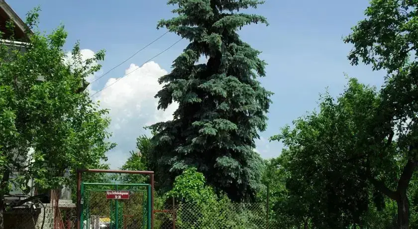 Павел-Баня: Guest House Nadejda