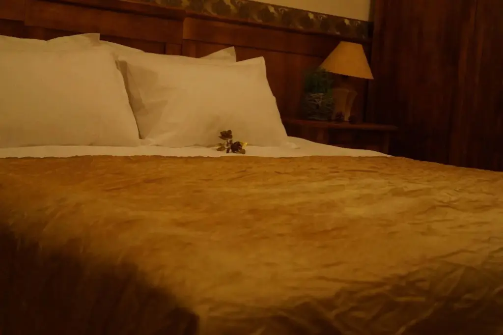 Свети Влас: Boutique Troy Hotel