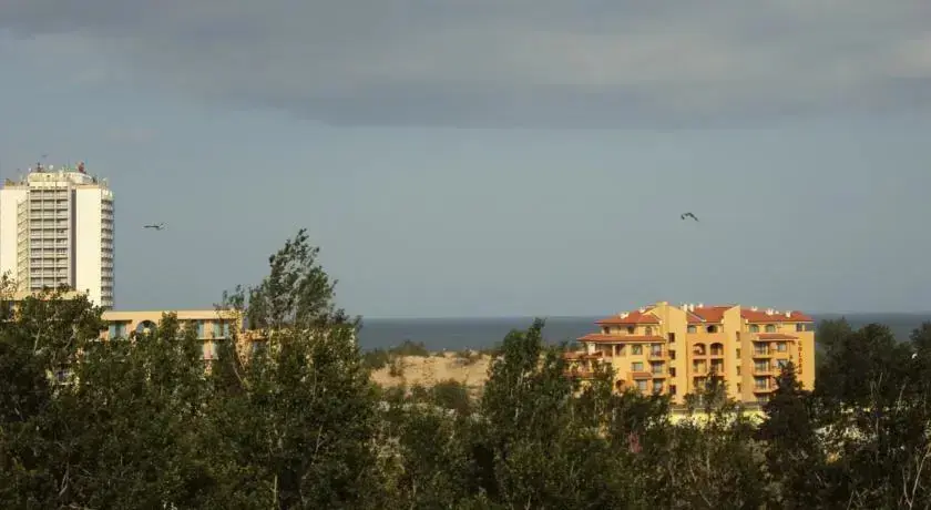 Солнечный берег: Duplex Penthouse Apartment Lipin
