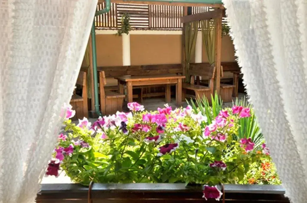 Видин: Vidin Hotel