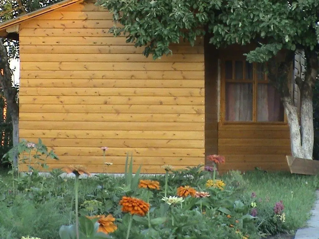 Суздаль: Dom s Baney v Suzdale