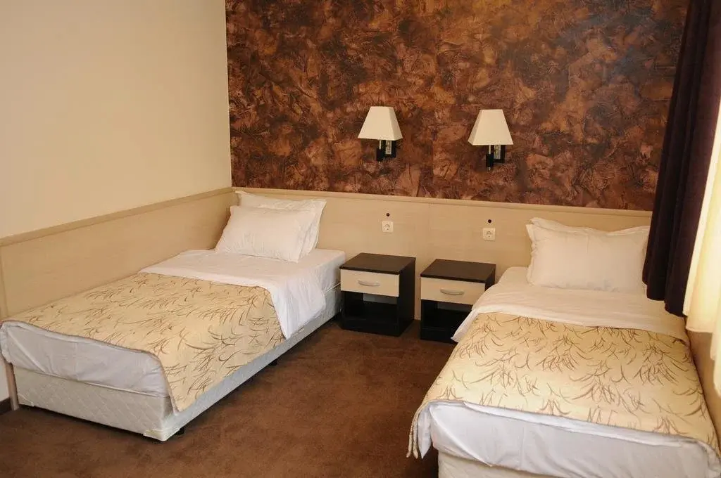 Ботевград: Hotel Balkan
