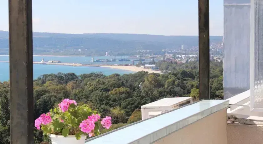 Варна: Apartment Chaika