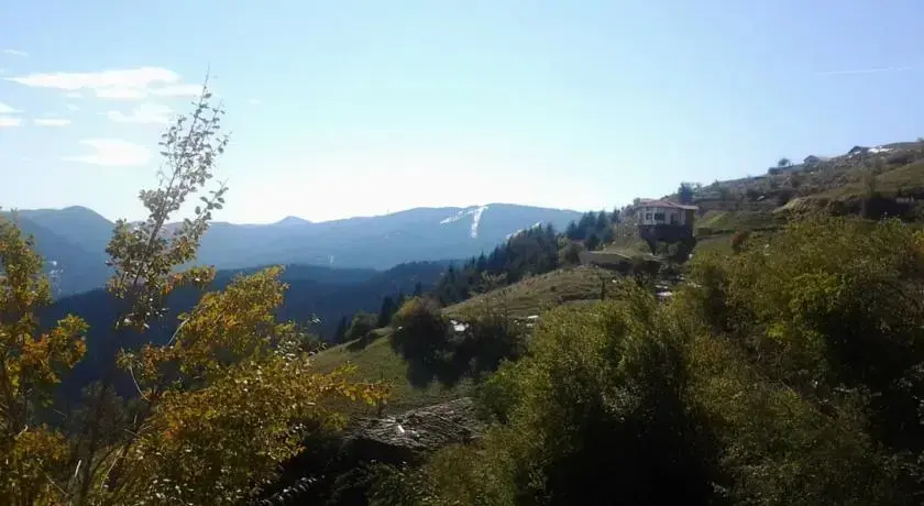 Чепеларе: Guest House Anna - Zornica