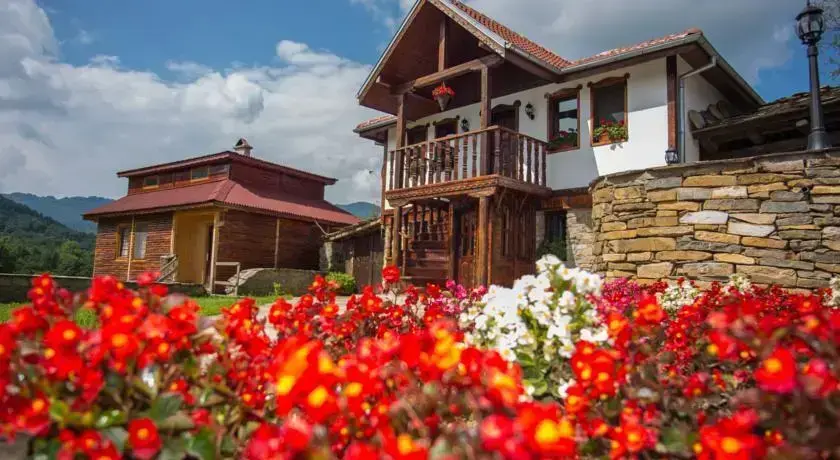 Габрово: Guest House Stoilite