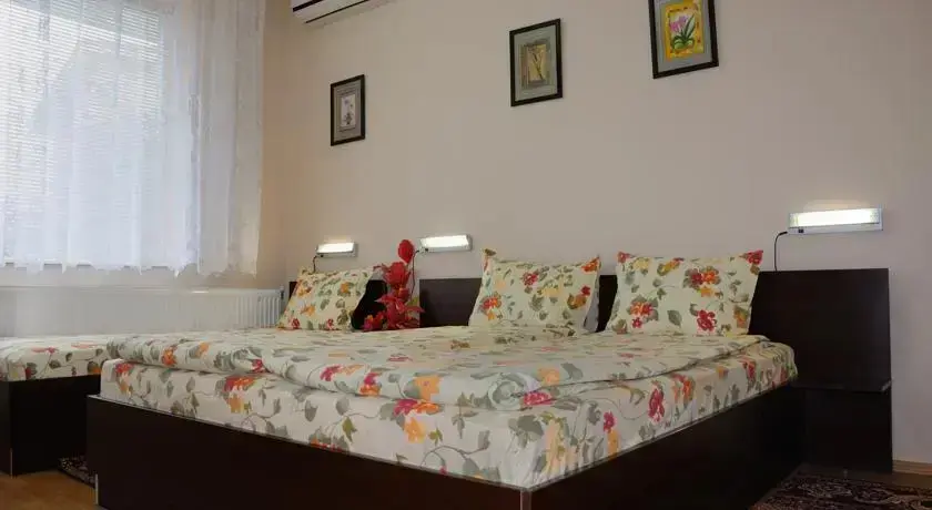 Хисаря: Sakutski Guest House