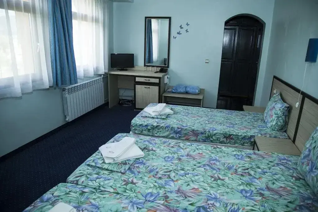 Сапарева баня: Hotel Emaly Green