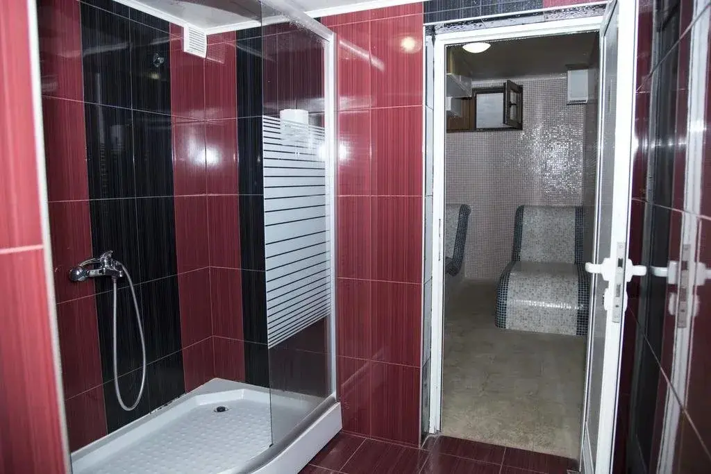 Сапарева баня: Hotel Emaly Green