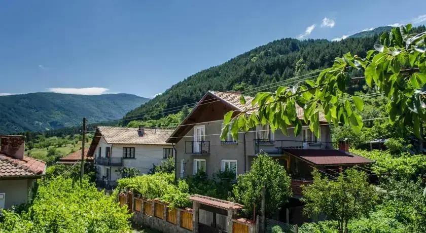 Сапарева баня: Dariya Guest House