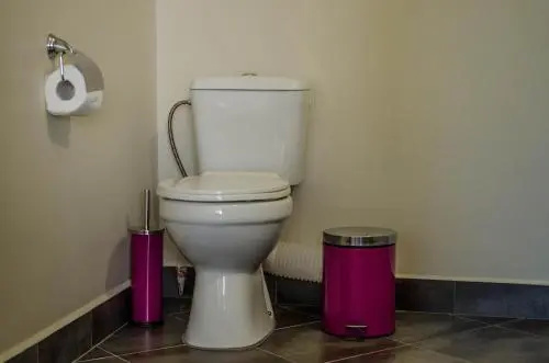 Сапарева баня: Dariya Guest House