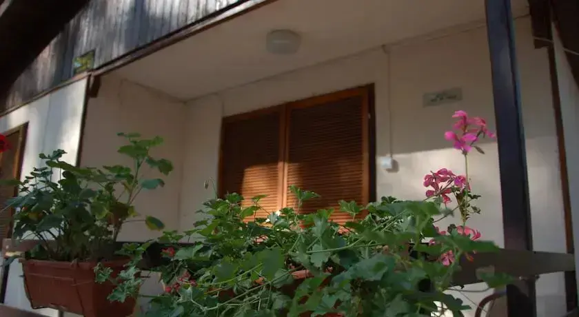 Камчия: Elmona Holiday Stay