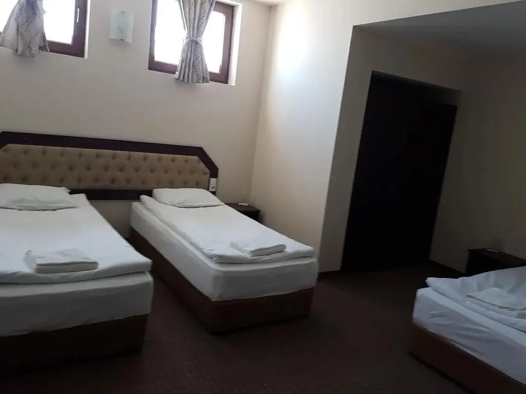 Правец: Hotel Podkovata