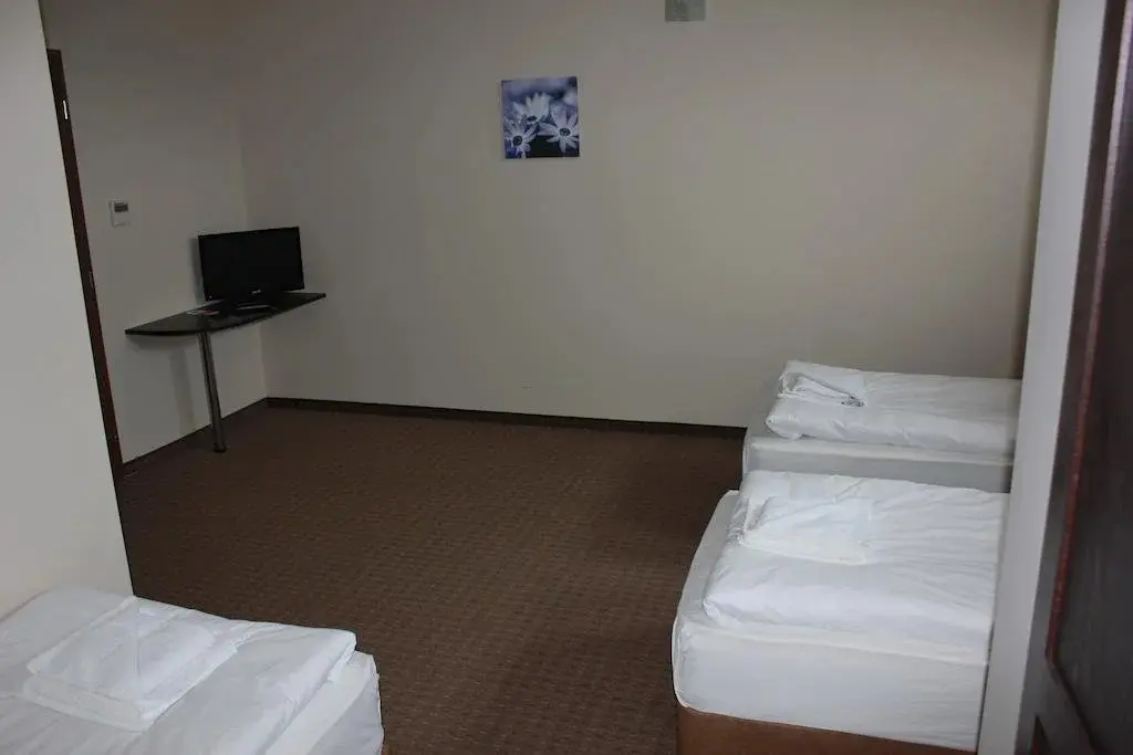 Правец: Hotel Podkovata