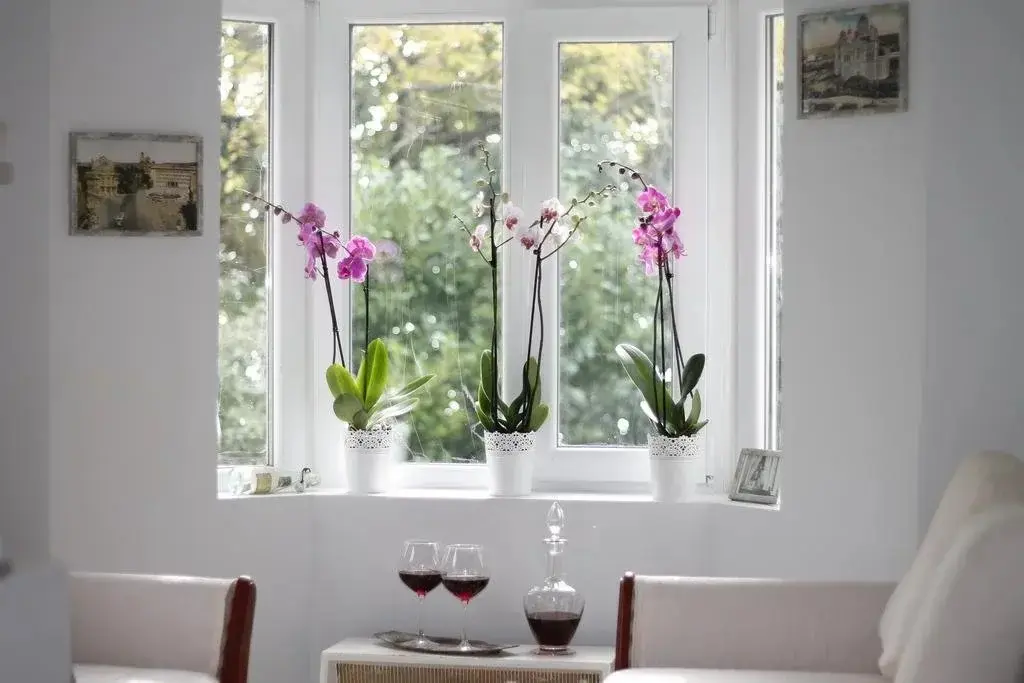 Варна: Lubimetz 13 Holiday Home