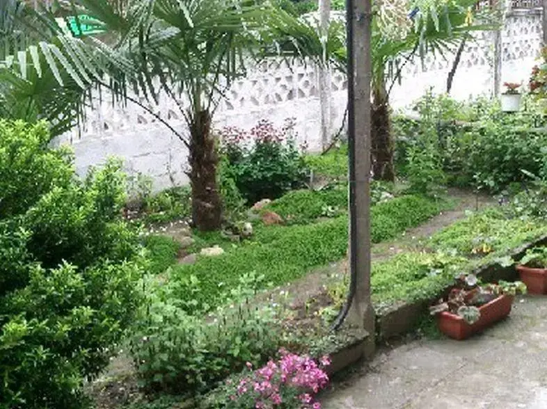 Приморско: Guest House in Primorsko