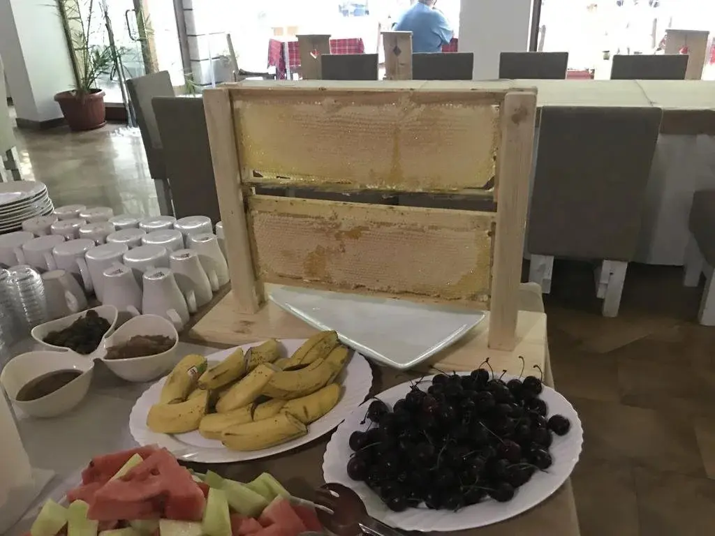 Петрич: Hotel Saint Nedelya