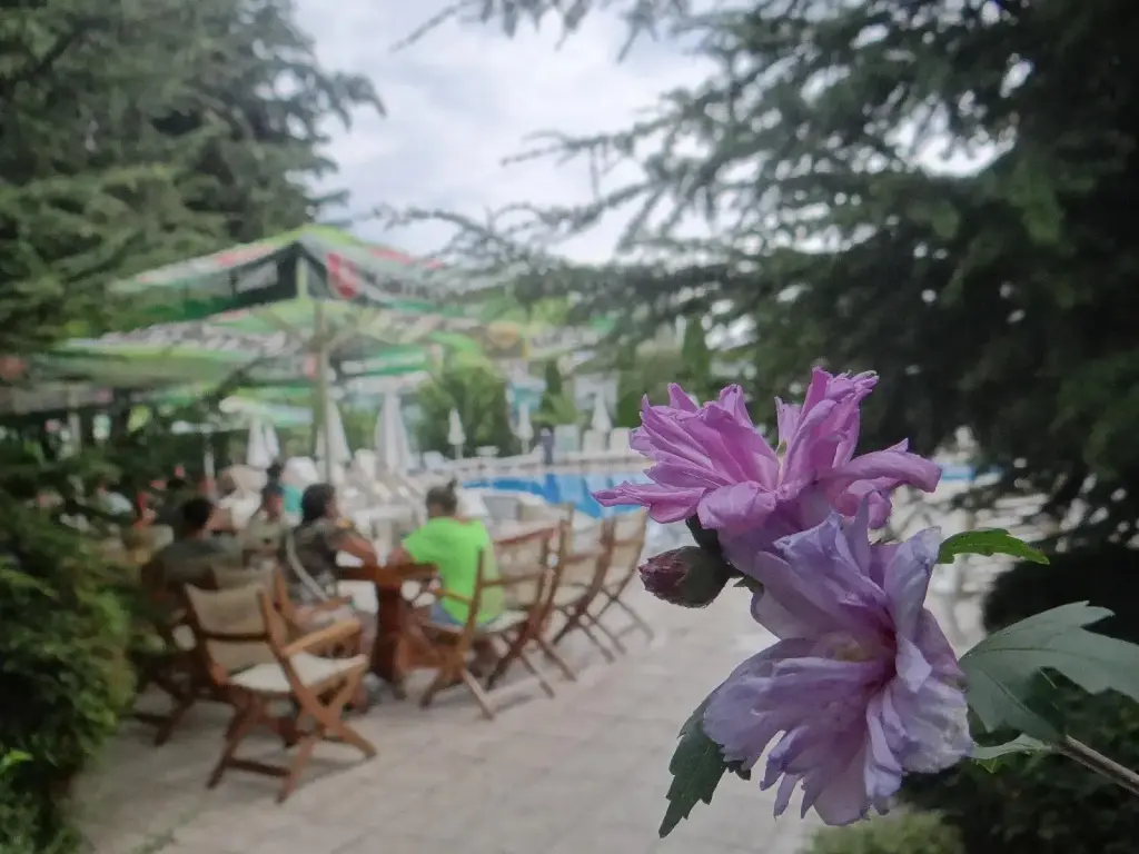 Солнечный берег: Boomerang Residence