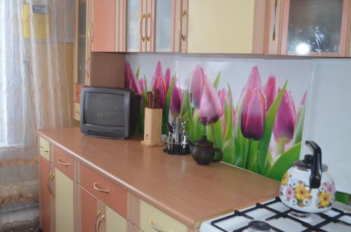 Суздаль: Holiday Home Natalya I K
