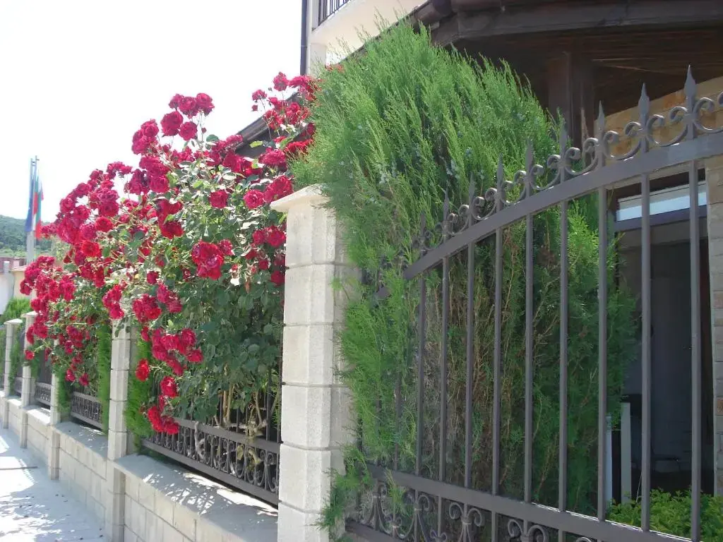Кранево: Villa Amfora