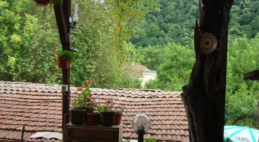 Велико Тырново: Guest House Selin