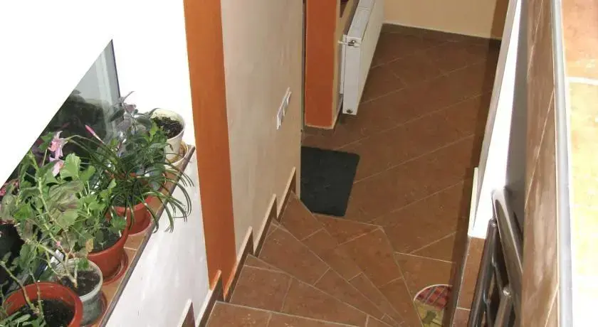 Горна-Оряховица: Guest House Family