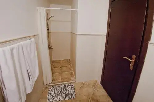 Варна: Amfora Apartment